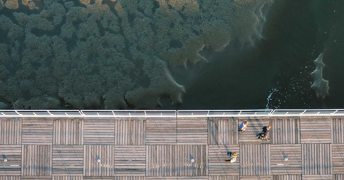 宮城県の屋根修理業者おすすめランキング【2026春】