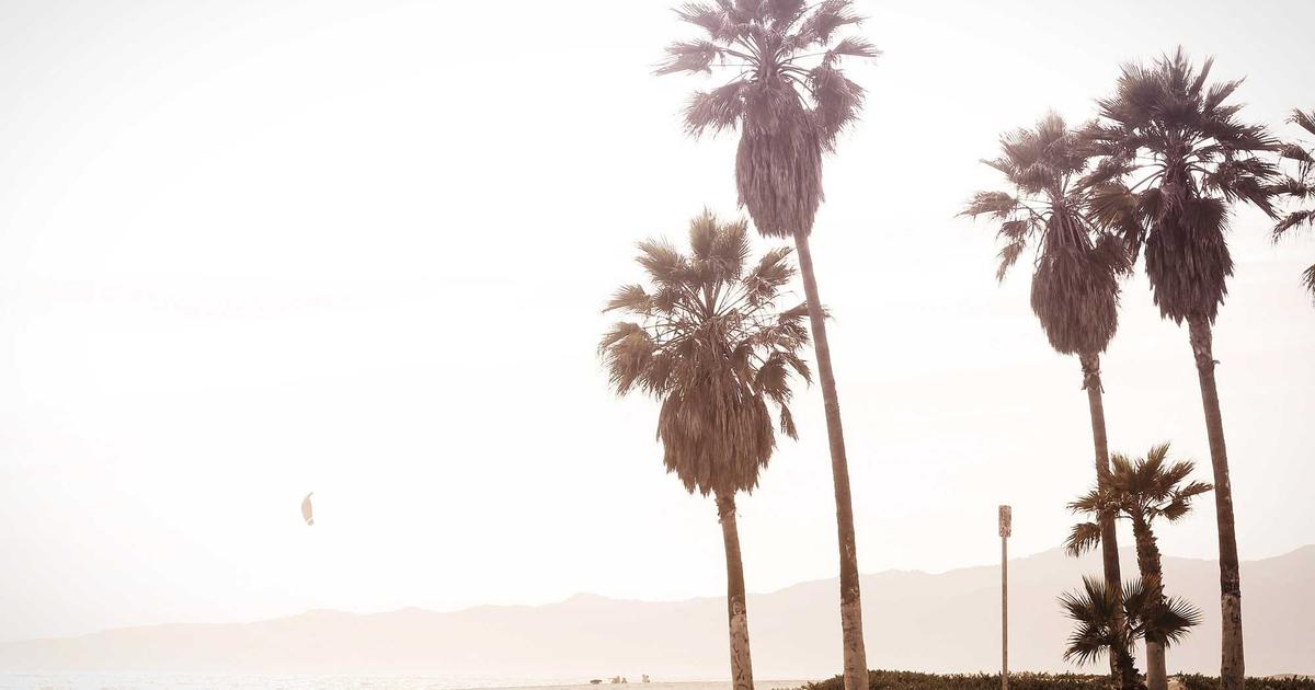 外壁のひび割れを放置すると危険?補修の目安と費用を解説